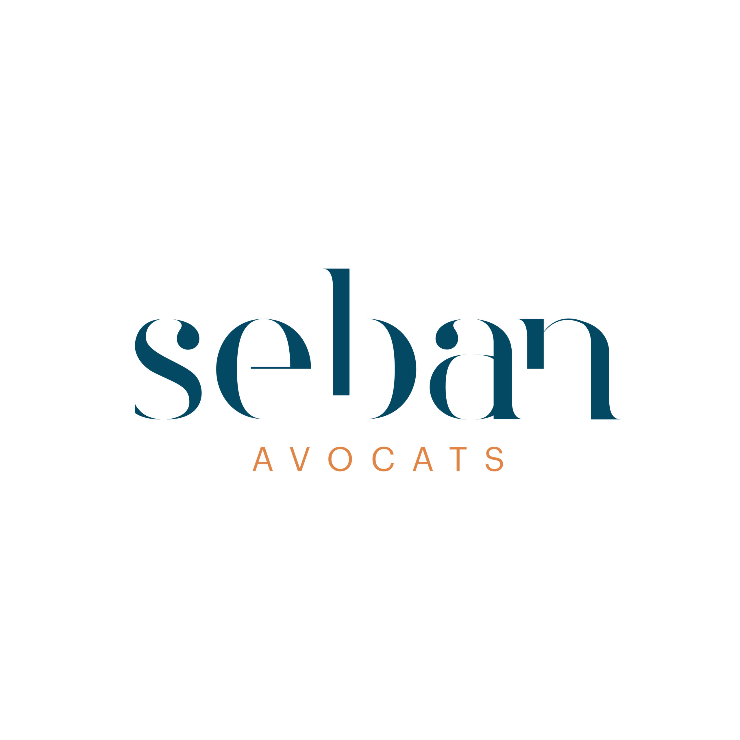 LOGO_SEBAN_COULEURS